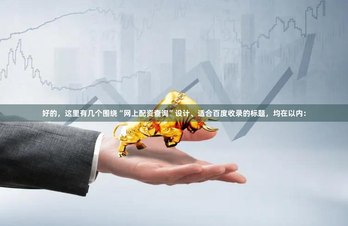 好的，这里有几个围绕“网上配资查询”设计、适合百度收录的标题，均在以内：
