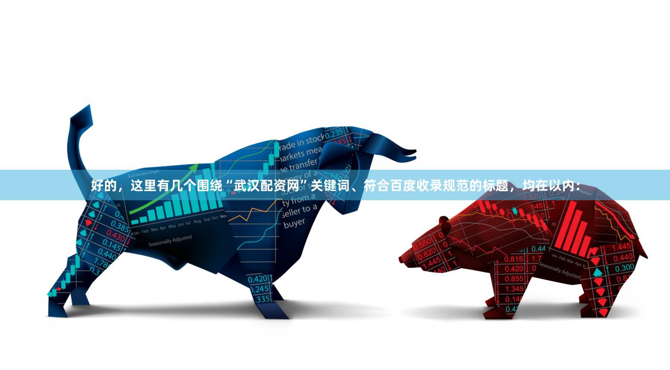 好的，这里有几个围绕“武汉配资网”关键词、符合百度收录规范的标题，均在以内：